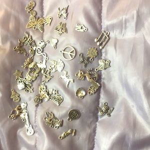 49 charms